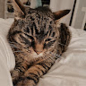 Meet your Posher, Emma